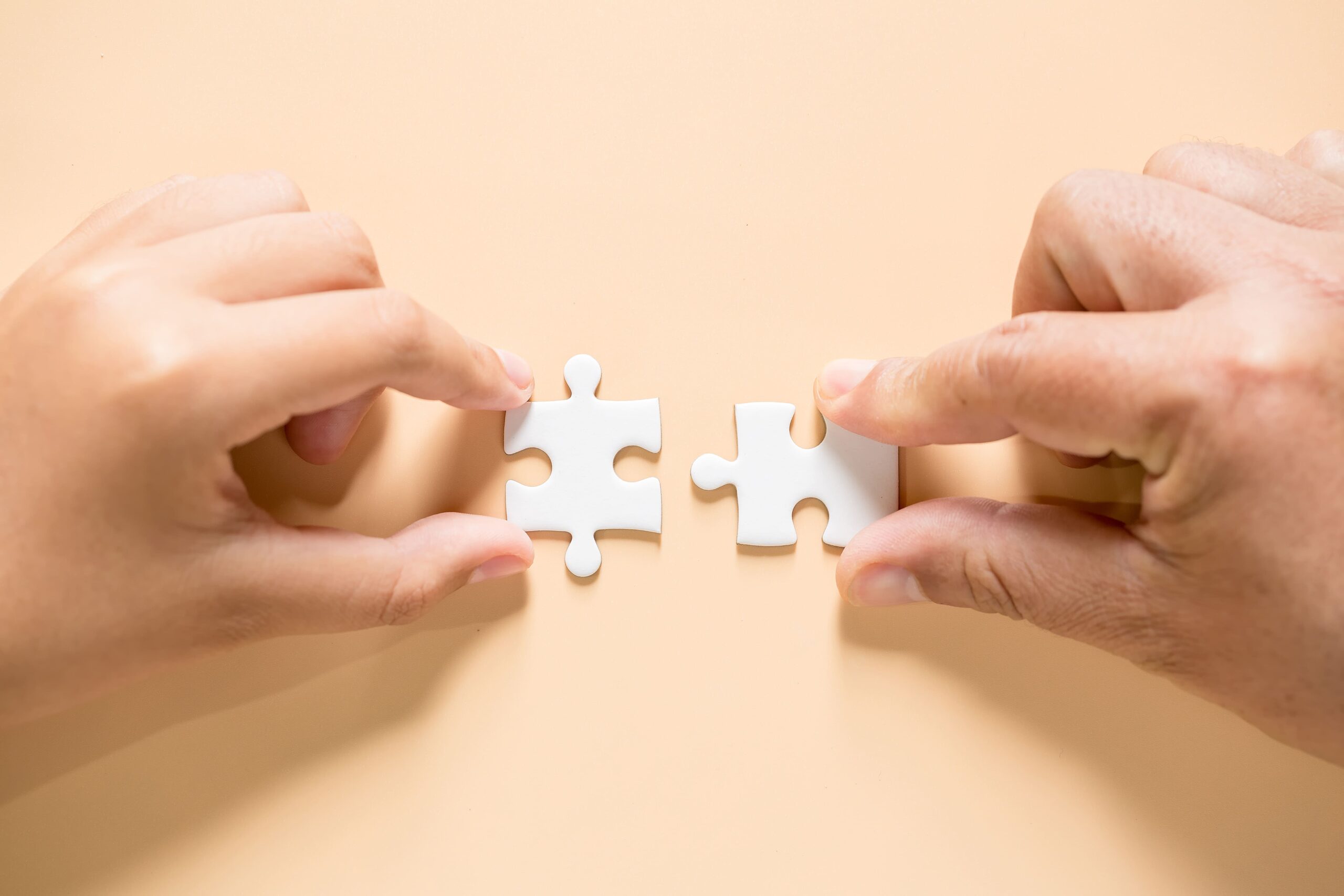synonyms for reconnect