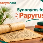 Ancient papyrus writing material with a scroll and reed plant