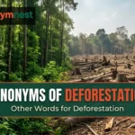 Synonyms of deforestation with forest clearing and tree removal