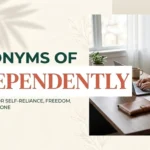 Synonyms of Independently – 30 Alternative Words with Examples