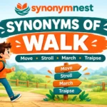 30 synonyms of walk with examples and meanings for English learners